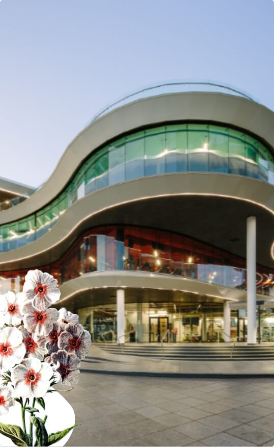 Health With Heart Merchant Palace Header Image