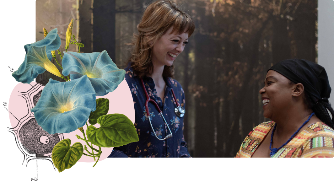 Header Image
