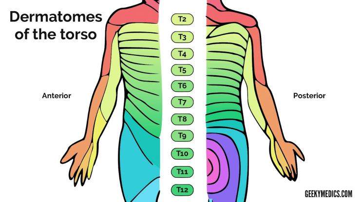 Health With Heart Finding Your Neutral Spine