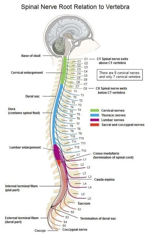 Health With Heart Finding your neutral spine 2