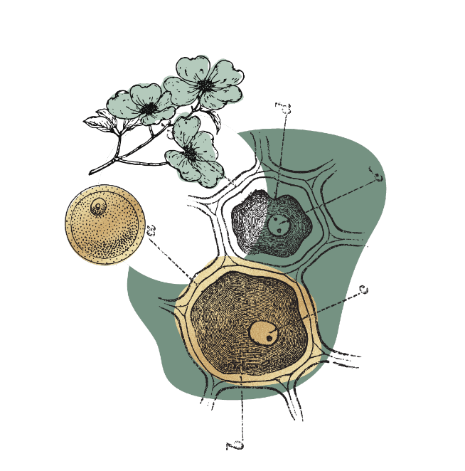 Health With Heart CTA Image