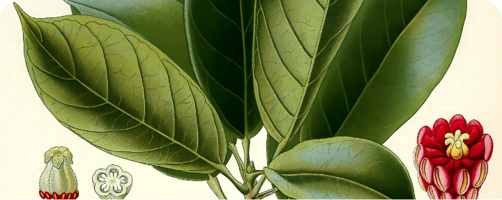 Single Post Header Image