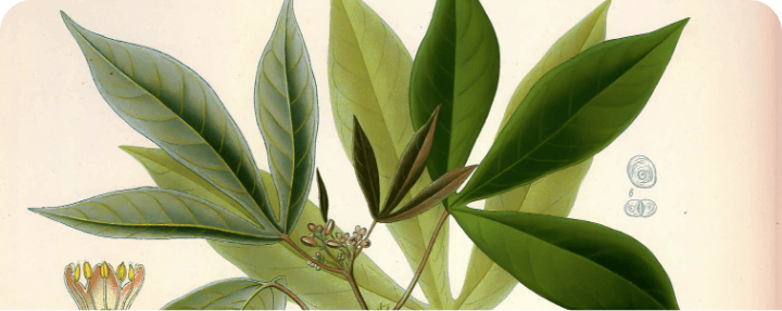 Single Post Header Image